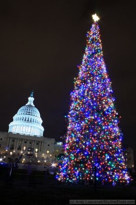 The Capitol at night