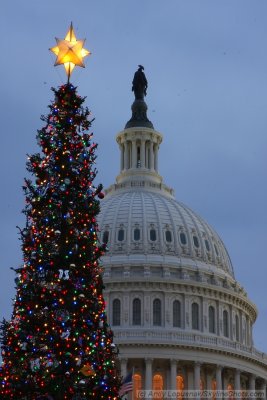 The Capitol