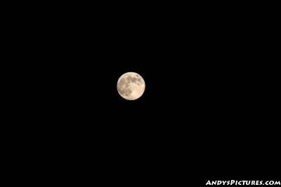 Moon over Houston at Night