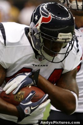 Houston Texans RB Ben Tate