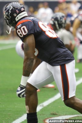 Houston Texans WR Andre Johnson