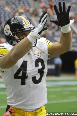 Pittsburgh Steelers safety Troy Polamalu