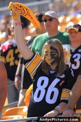 Pittsburgh Steelers fan with Terrible Towel