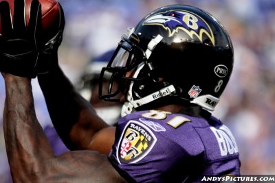 Baltimore Ravens WR Anquan Boldin