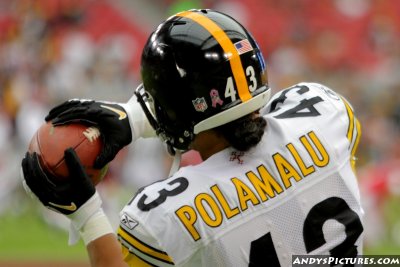 Pittsburgh Steelers safety Troy Polamalu