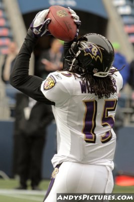 Baltimore Ravens WR LaQuan Williams