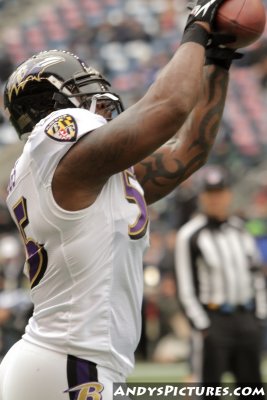 Baltimore Ravens LB Terrell Suggs