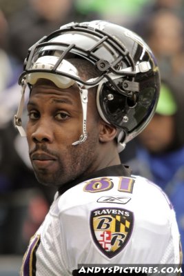 Baltimore Ravens WR Anquan Boldin