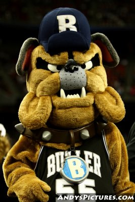 Butler mascot