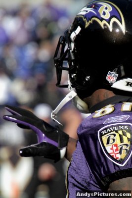 Baltimore Ravens WR Anquan Boldin