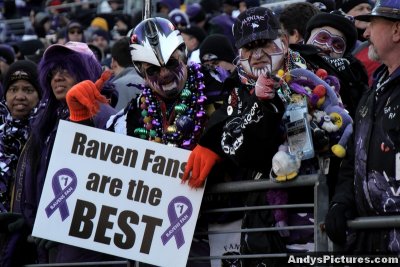 Baltimore Ravens fans