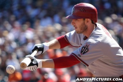 Arizona Diamondbacks