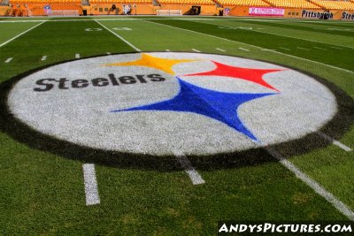 Pittsburgh Steelers logo at the 50-yard line at Heinz Field