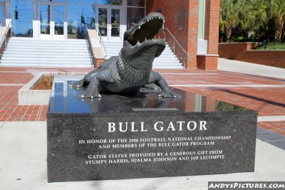 Bull Gator statue in front of Ben Hill Griffin Stadium- Gainesville, FL
