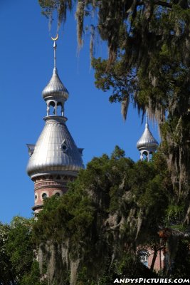 University of Tampa