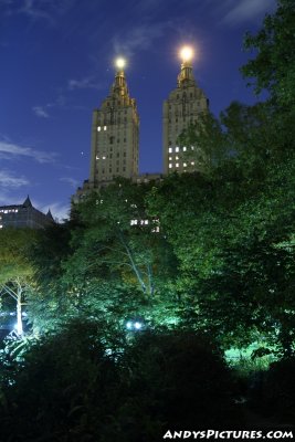 View of NYC from Central Park at Night
