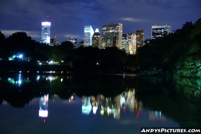 View of NYC from Central Park at Night