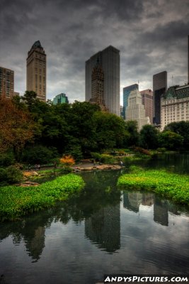 NYC from Central Park