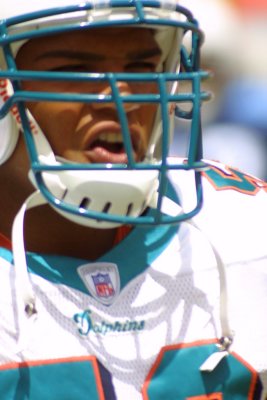 Dolphins player