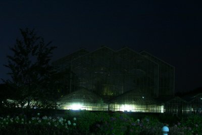 Front of Meijer Gardens at night