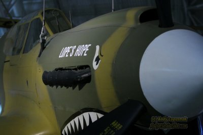 World War II fighter