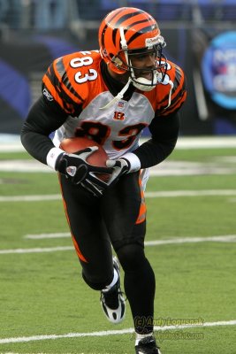 Cincinnati Bengals WR Antonio Chatman
