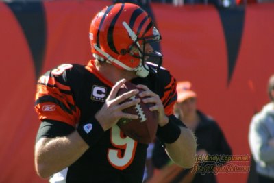 Cincinnati Bengals QB Carson Palmer