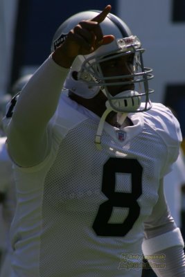 Oakland Raiders QB Daunte Culpepper
