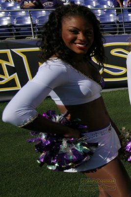 Baltimore Ravens cheerleaders