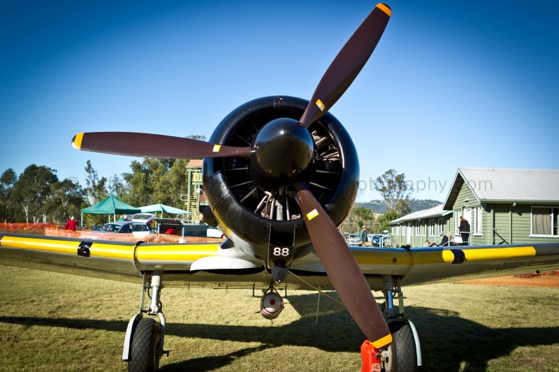 F05F4988.jpg