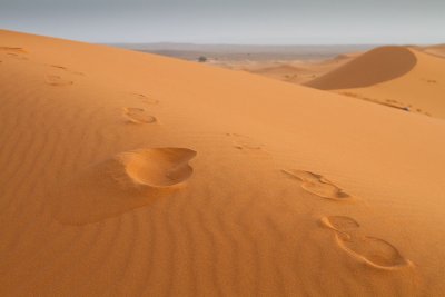 Foot steps, Erg Chebbi