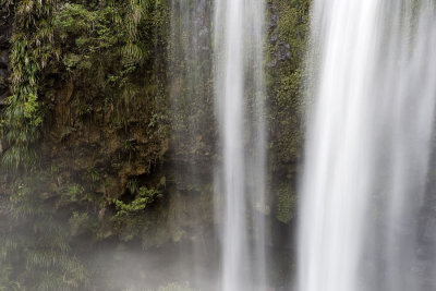 Whangarei Falls