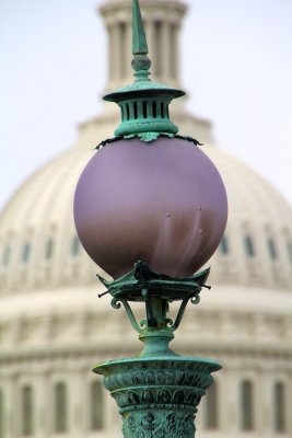The Capitol - view from Library of Congress