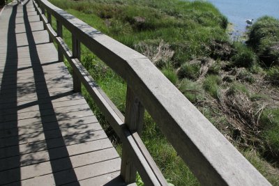 Cape Cod National Seashore