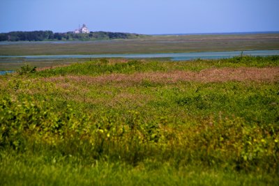 Cape Cod National Seashore