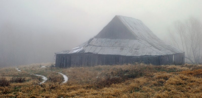 Barn in Fog