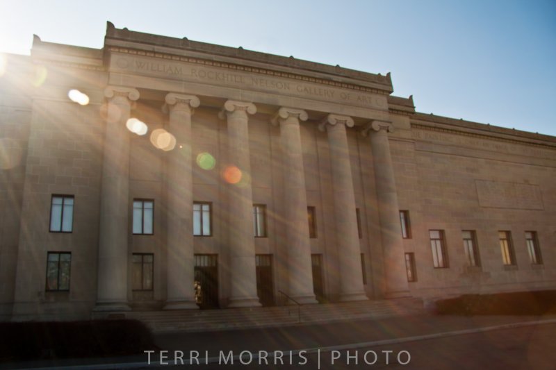 Sun Flare on Museum - Terri Morris