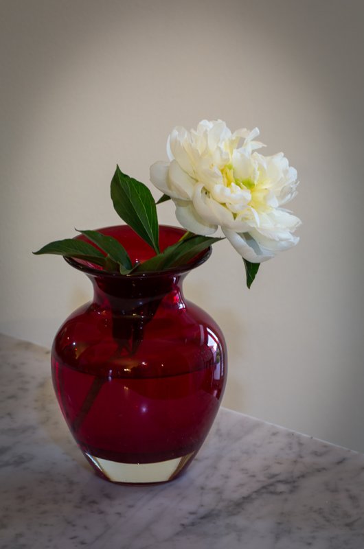 Peonie