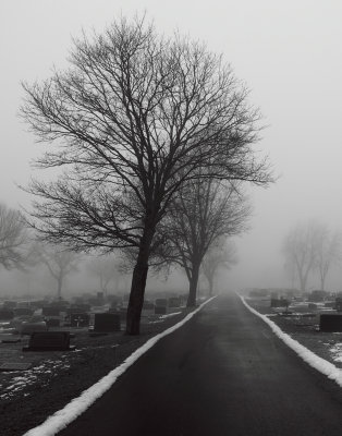 Cemetery in the fog