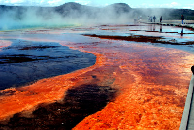 Grand Prismatic Springs - Yellowstone National Park
