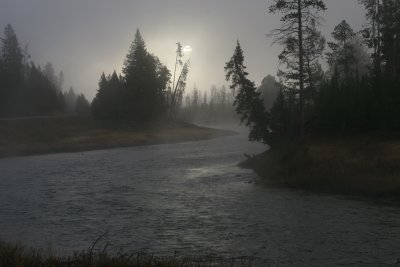 Early morning fog on Madison River - Yellowstone Park