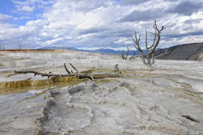 Mammoth Hot Springs area