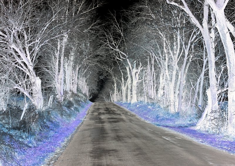 Road-with-Iced-Trees C.I.