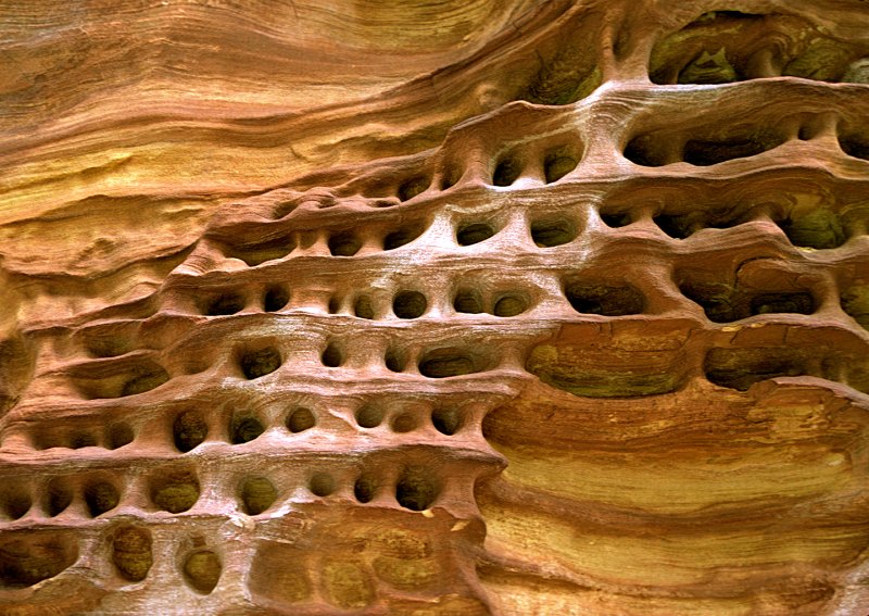 Pitted-Sandstone