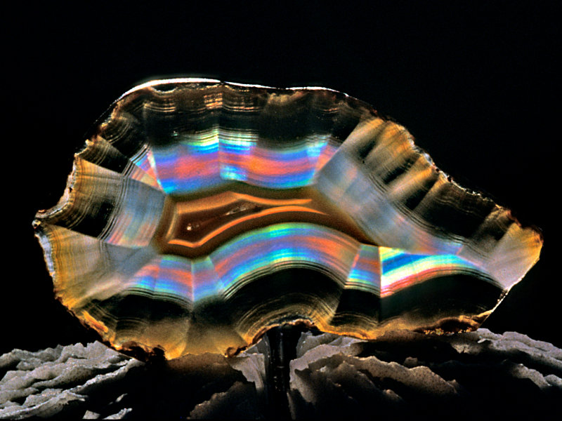 Iris-Agate-on-Coral