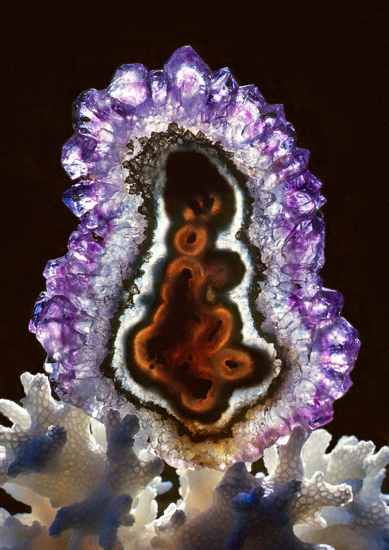 Amethyst-Stalactite-Cross-Section-on-Coral