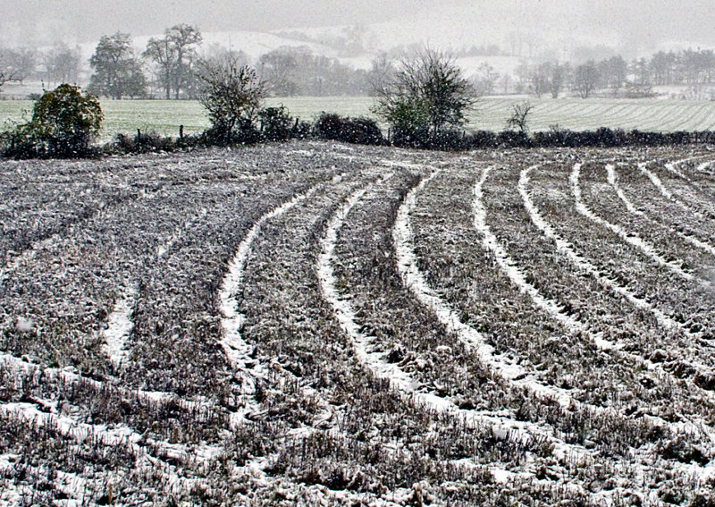 Snow-Furrows