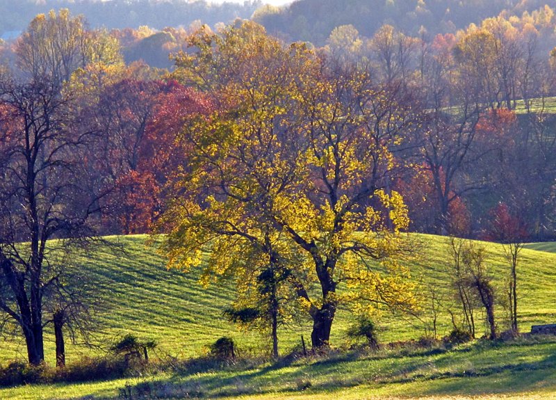 2010-Fall-Landscape