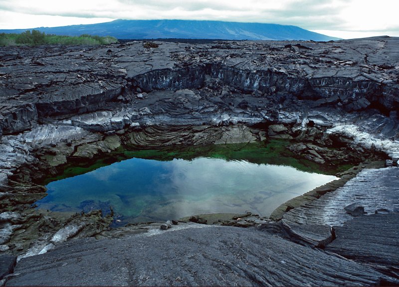 Galapagos-Water-Pool