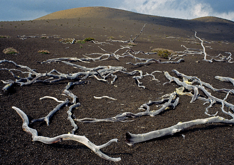 Desolation-Trail---Hawaii